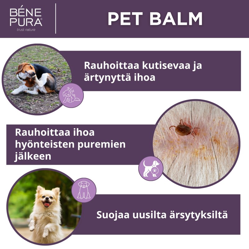 Voiteet koirille Set