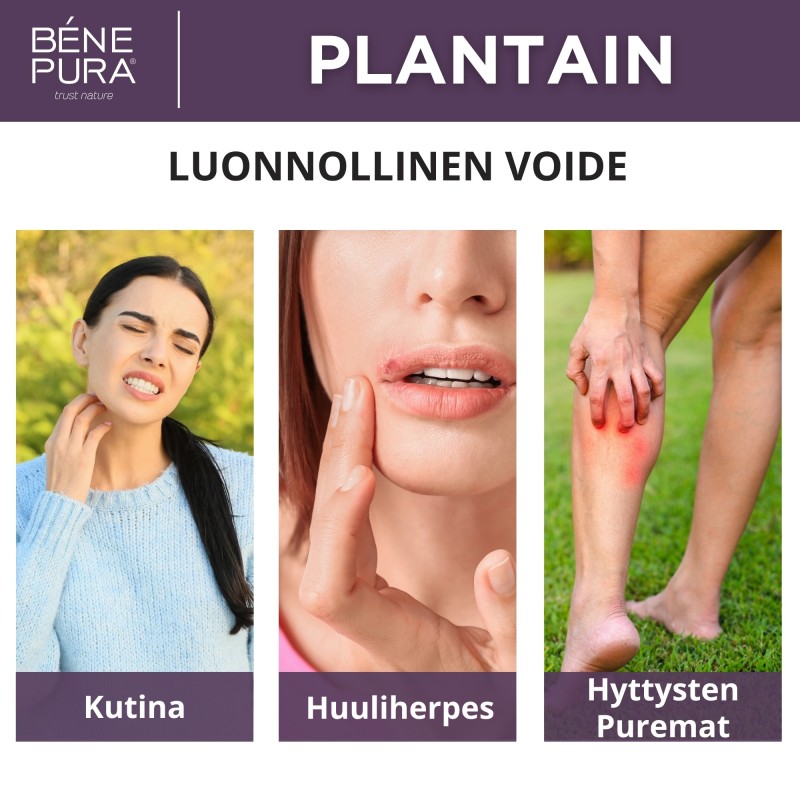 Voiteet Kutinaan Set