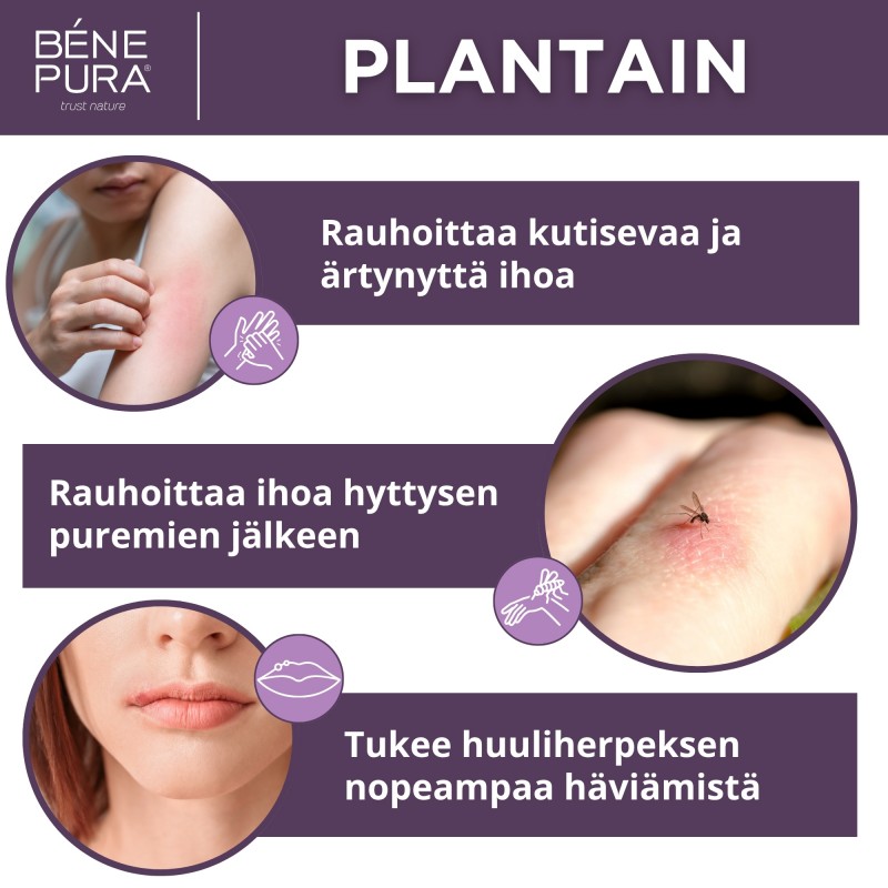 Voiteet Kutinaan Set