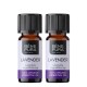 2x Bio Laventelin Eteerinen öljy - 10ml