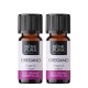 2x Bio Oregano Eteerinen öljy - 10ml