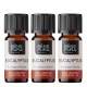 3x Bio Eucalyptus Radiata Eteerinen öljy - 5ml