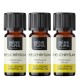 3x Bio Helichrysum Eteerinen öljy - 5ml