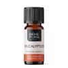 Bio Eucalyptus Globulus Eteerinen öljy - 10ml
