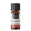 Bio Eucalyptus Radiata Eteerinen öljy - 5ml