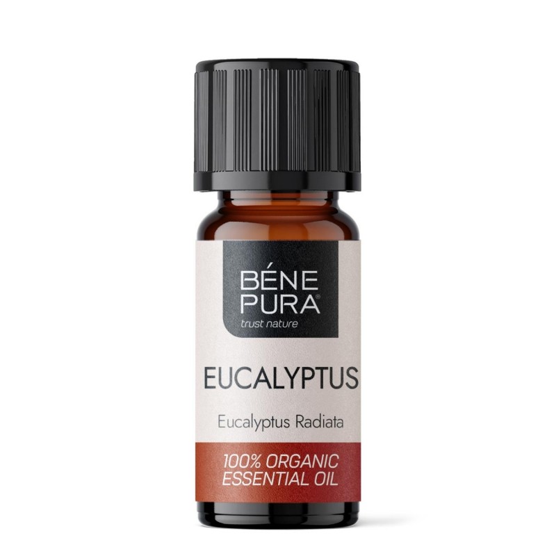Bio Eucalyptus Radiata Eteerinen öljy - 5ml - Eteeriset öljyt