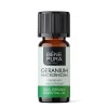 Bio Geranium Eteerinen öljy - 10ml