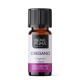 Bio Oregano Eteerinen öljy - 10ml