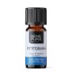 Bio Petitgrain Eteerinen öljy - 5ml