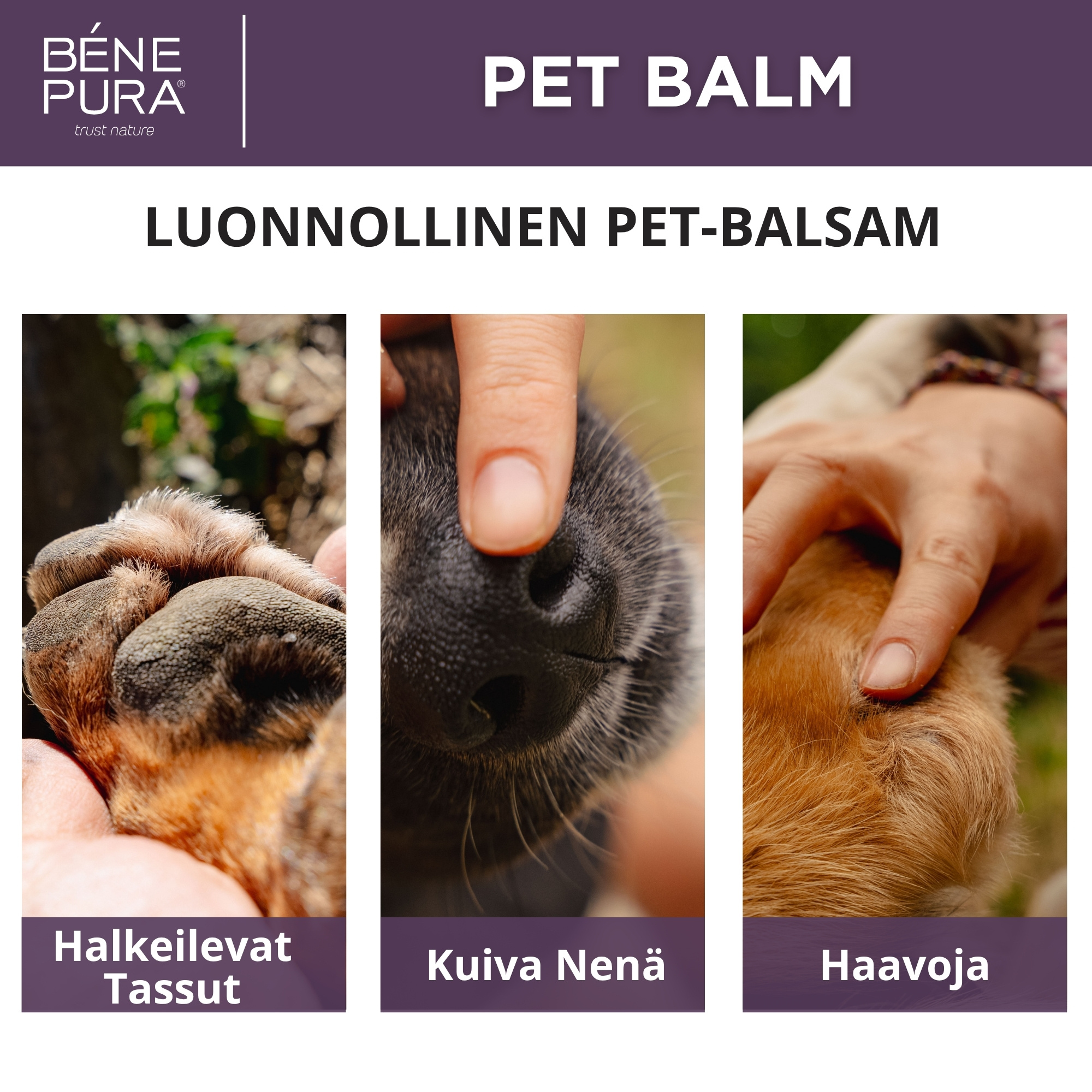 "Voiteet koirille" Set