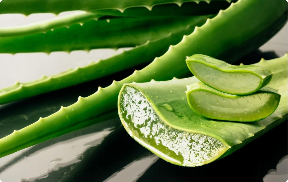 Voide Palovamma ja Haava kanssa Kehäkukka, Aloe Vera ja Mäkikuisma - 40ml